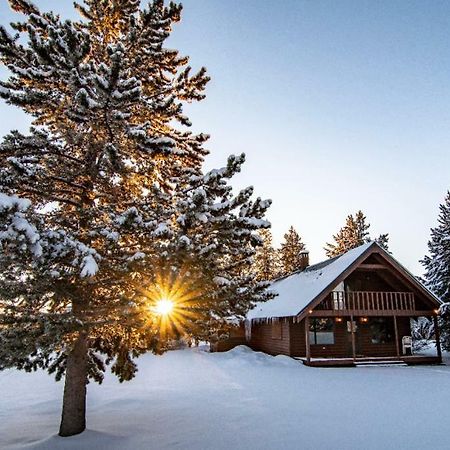 Yellowstone Cozy Caldera Cabin Island Park Luaran gambar